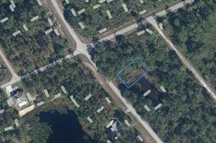 615 Wildflower St, Lake Placid, FL 33852 - Photo 1