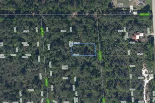 722 Ronnie Ln, Lake Placid, FL 33852 - Photo 1