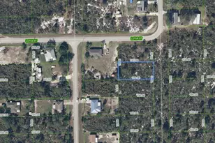348 Sandpiper St, Lake Placid, FL 33852 - Photo 1