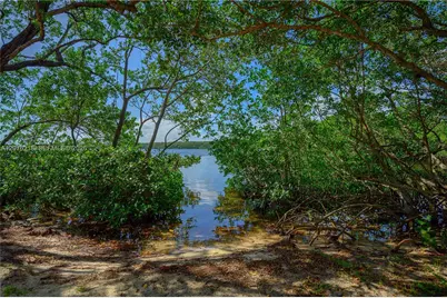 5990 Paradise Point Dr #5990, Palmetto Bay, FL 33157 - Photo 74