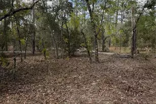 SW SW Indian Hill Dr, Ocala, FL 34431 - Photo 1