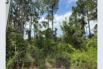 3607 Peugeot St, Sebring, FL 33872 - Photo 4