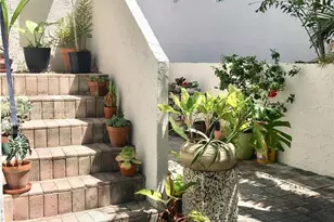 3203 Mary St, Miami, FL 33133 - Photo 2