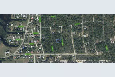 218 Moon Glow Court, Lake Placid, FL 33852 - Photo 2