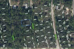 218 Moon Glow Ct, Lake Placid, FL 33852 - Photo 1