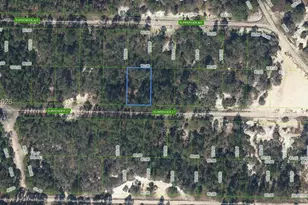 420 Surrender Ct, Lake Placid, FL 33852 - Photo 1
