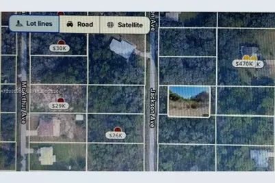 1206 Jackson Ave, Lehigh Acres, FL 33972 - Photo 1