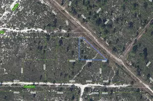 536 Nevada Ave, Lake Placid, FL 33852 - Photo 1