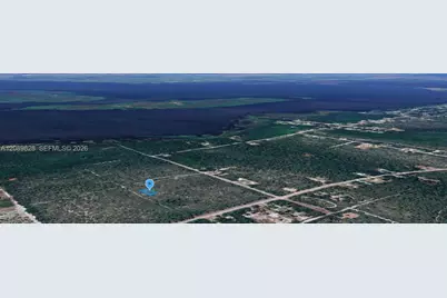 701 Camden St, Lake Placid, FL 33852 - Photo 2