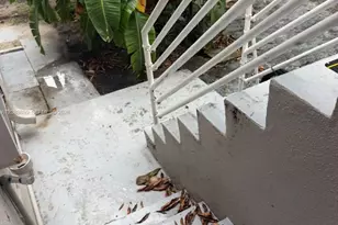 8020 Abbott Ave, Miami Beach, FL 33141 - Photo 4