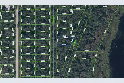 927 Kirby Avenue, Lake Placid, FL 33852 - Photo 1