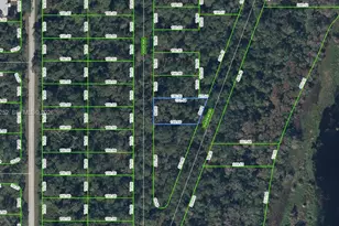 927 Kirby Ave, Lake Placid, FL 33852 - Photo 1