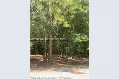2326 W Barben Road, Avon Park, FL 33825 - Photo 22