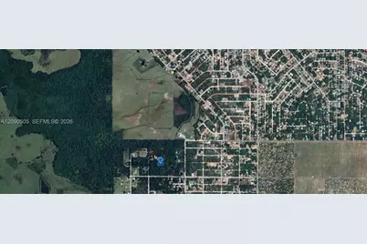 3175 W Foli Road, Avon Park, FL 33825 - Photo 2
