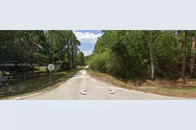 3175 W Foli Road, Avon Park, FL 33825 - Photo 4