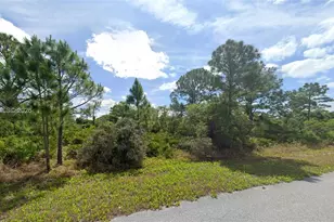 645 Buccaneer St NW, Lake Placid, FL 33852 - Photo 1