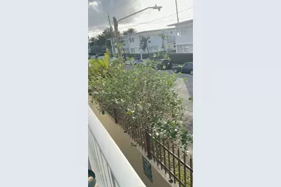 7830 Dickens Ave #203, Miami Beach, FL 33141 - Photo 8