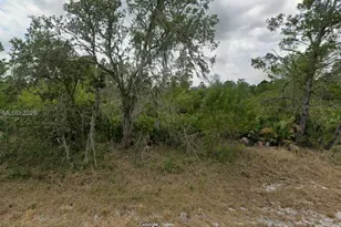 8005 Campo Sano St, Sebring, FL 33872 - Photo 1