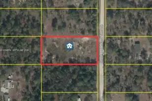 Xxx 142 Terrace, Williston, FL 32696 - Photo 1