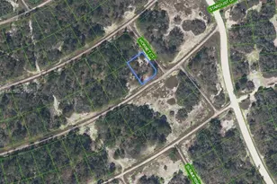 408 Hornet Ct, Lake Placid, FL 33852 - Photo 1