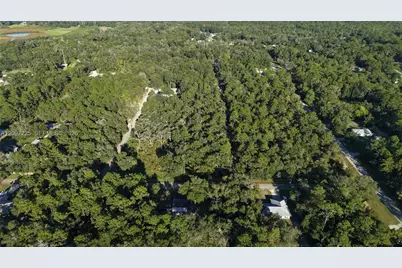 3109 E Millside Ln, Inverness, FL 34453 - Photo 12