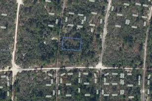 305 Blue Heaven Dr, Lake Placid, FL 33852 - Photo 1
