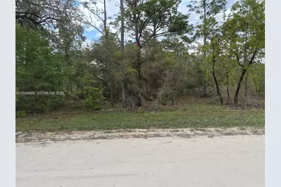 00 NE Ne 4th St, Williston, FL 32696 - Photo 2