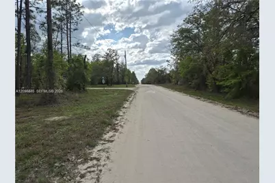 00 NE Ne 4th St, Williston, FL 32696 - Photo 4