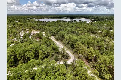 1137 Redbird St, Lake Placid, FL 33852 - Photo 38