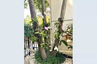 349 Meridian Ave #B202, Miami Beach, FL 33139 - Photo 8