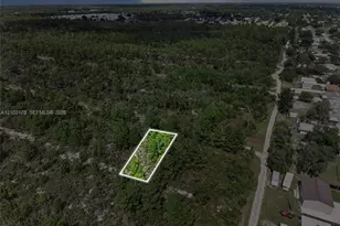 411 Scaup Ave, Sebring, FL 33872 - Photo 1