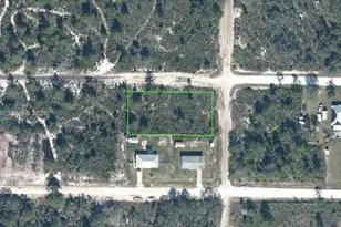 2917 W Gaffney, Avon Park, FL 33825 - Photo 1