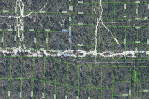 1320 Hyacinth Ave, Sebring, FL 33875 - Photo 1