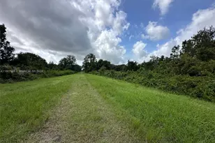 1010 S Gabriel Rd Avon Park, Avon Park, FL 33825 - Photo 1