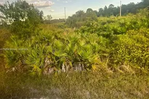 1402 Louis Ave, Lehigh Acres, FL 33972 - Photo 1