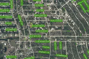 236 Moon River Ave, Lake Placid, FL 33852 - Photo 1