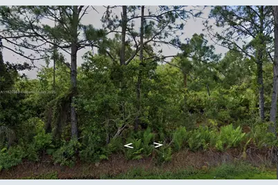 1008 NW Concorde Pkwy, Lake Placid, FL 33852 - Photo 1
