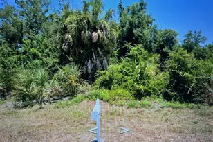 13436 Rayburn, Port Charlotte, FL 33981 - Photo 1