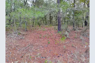 302 Kennedy, Palatka, FL 32148 - Photo 1