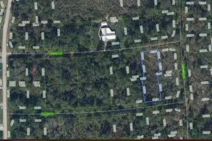233 + 232 Caswell + Colleen Ln, Lake Placid, FL 33852 - Photo 1