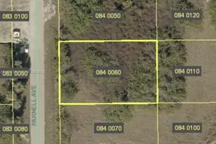433 Parnell Ave, Lehigh Acres, FL 33974 - Photo 1