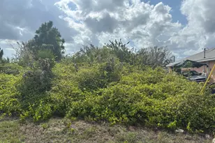 4621 N Anita Ave, Lehigh Acres, FL 33971 - Photo 1