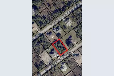 1061 SE Towhlen Street, Palm Bay, FL 32909 - Photo 1