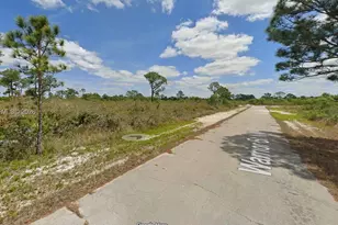 217 Warrior St, Lake Placid, FL 33852 - Photo 1