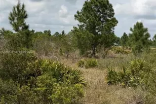2458 W Butkus Rd, Avon Park, FL 33825 - Photo 1
