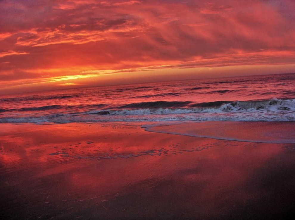 949 Gulf Beach Dr, Saint George Island FL  32328-3002 exterior