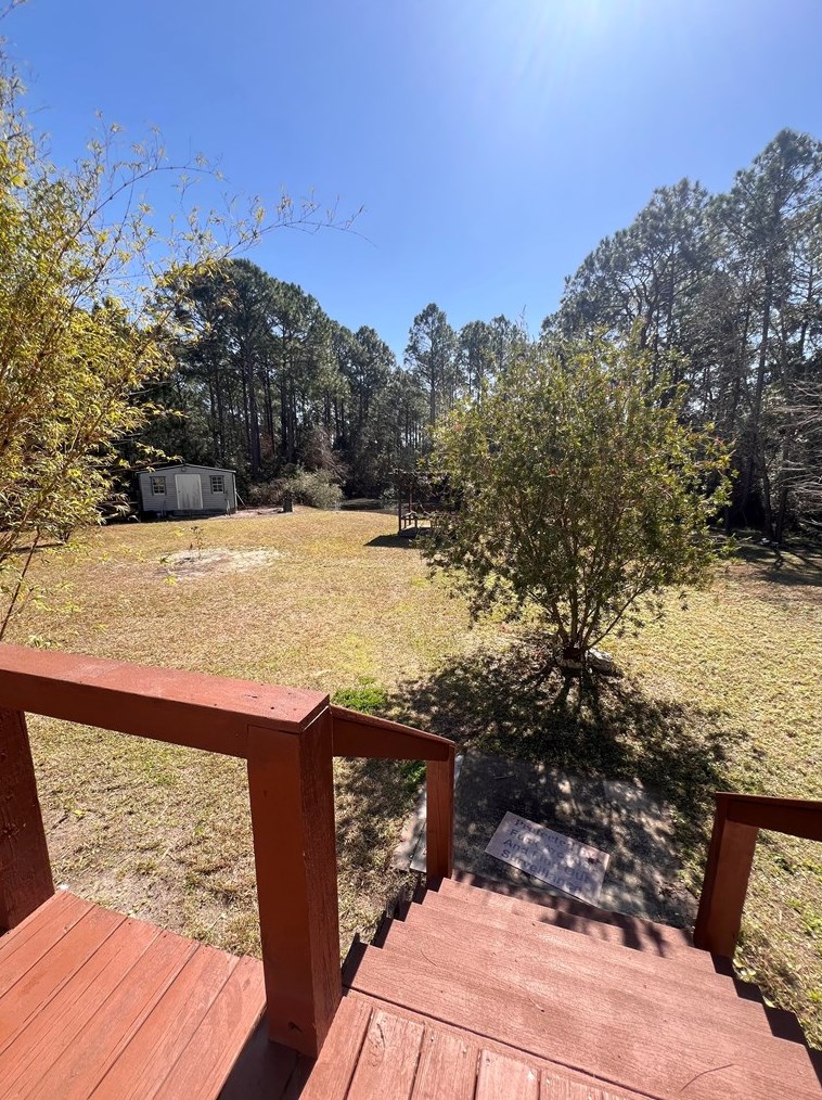 772 Buck Rd, Saint George Island FL  32328-3595 exterior