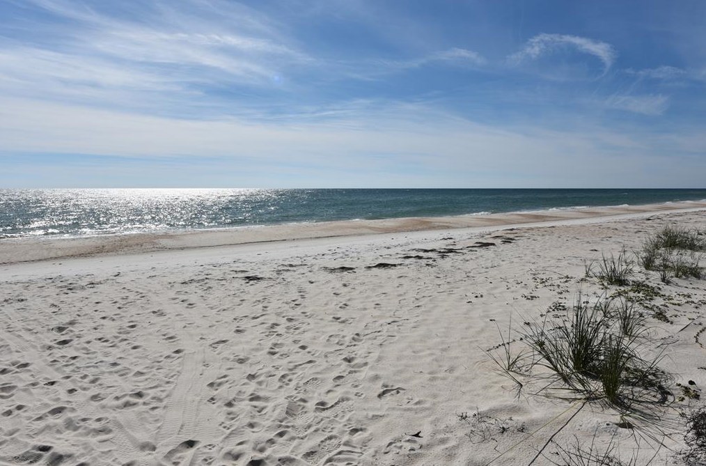 1804 Gulf Bch Dr, Saint George Island FL  32328-2827 exterior