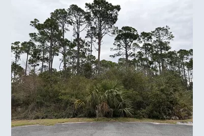 309 Sea Haven Dr, Port Saint Joe, FL 32456 - Photo 2