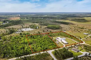 290 Rudy's Blaze, Wewahitchka, FL 32465 - Photo 68